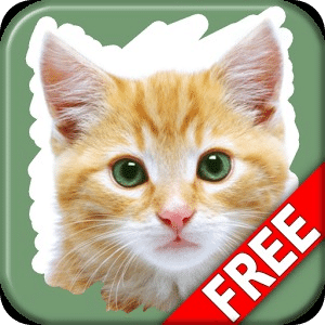 Pet Animals Scratch Game Free