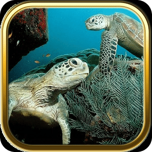 Free Ocean Turtles Puzzles