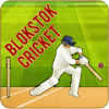 Blokstok Cricket