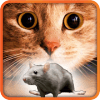Games for Cat mouse on screen