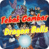 Tebak Gambar Dragon Balls