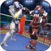 Robot Ring Fighting Battle