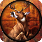 Big Buck Deer Hunter Safari - Rapid Shooting Game
