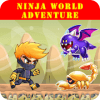 Ninja World Adventure