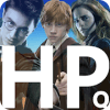 Harry Potter Pro Quiz