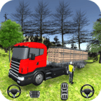 Truck Driver Cargo Transport