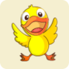 DUCK FALL DOWN