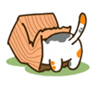 我的猫呢找猫