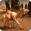 Ultimate Camel Simulator