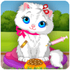 Pet Cat Animal Games