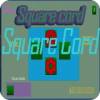 Square Cord