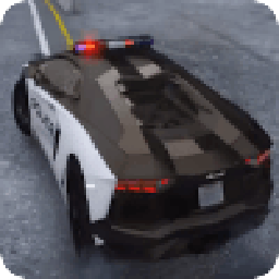 Real Sunny Police Car Simulator 2019 3D