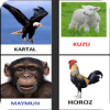 3 Yaş Eğitici Oyunlar Hayvanlar Türkçe Sesli