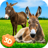 Donkey Simulator - Little Horse Wildlife Simulator