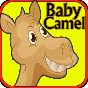 baby camel adventure