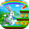Pet Bunny Rabbit Run For Kids