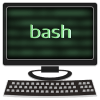 Bash Quiz LITE