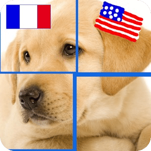 PuzzleAnimals: English-French