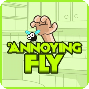 The Annoying Fly