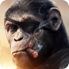 Apes Age