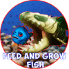 Feed and Grow Fish 2 Simulator
