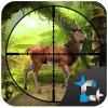Wild Animals Jungle Hunting: FPS Shooting Game