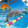 Water Park Dolphin Show Water World Dolphin Games
