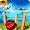 Top Cricket Ball Slope Game
