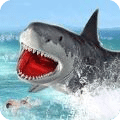海鲨世界攻击