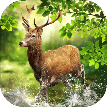 HuntingClash