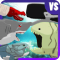 巨齿鲨与海怪搏斗