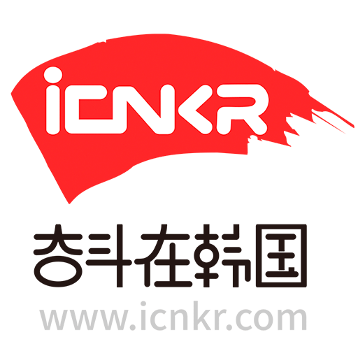奋斗在韩国