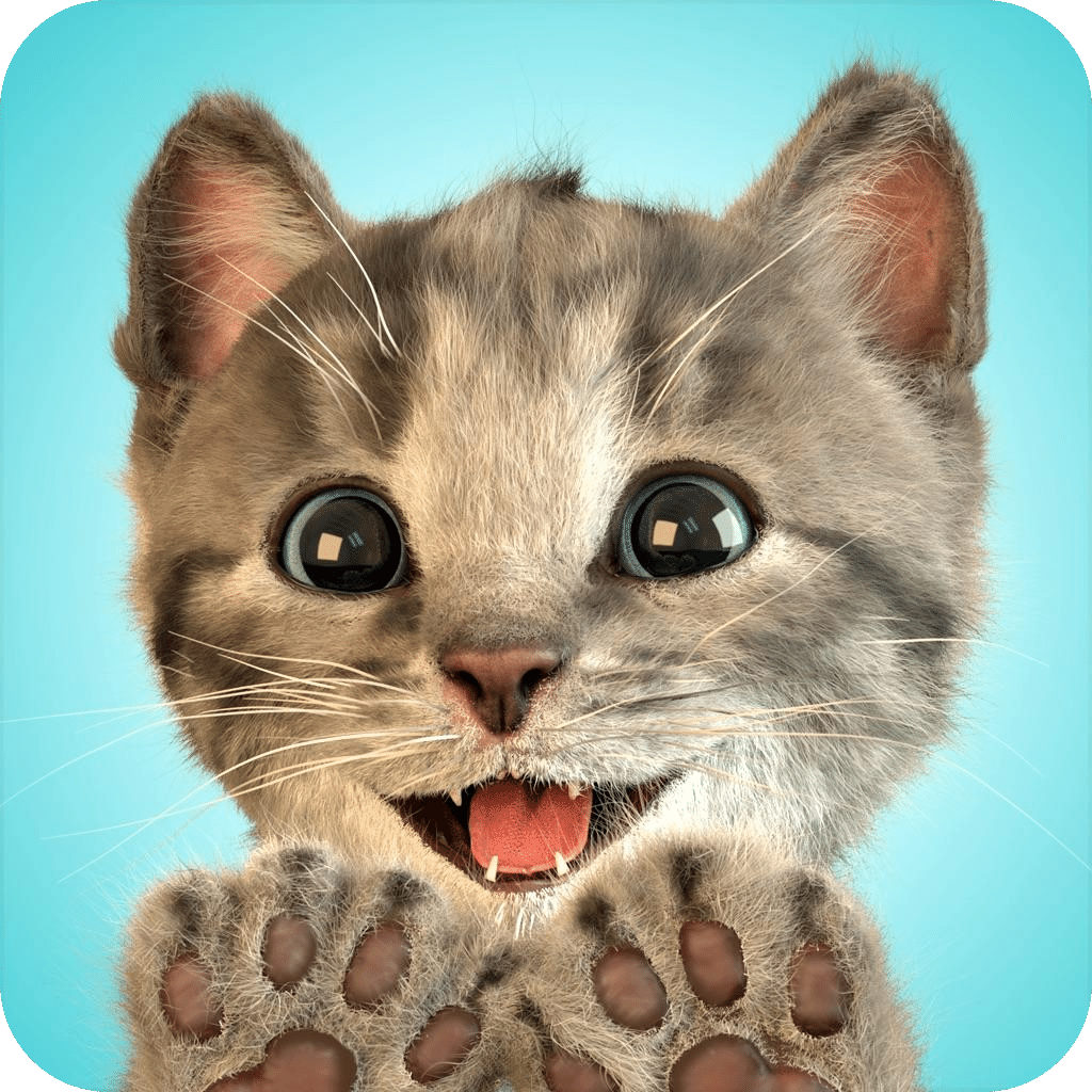 LittleKitten小猫