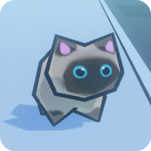 小猫过马路