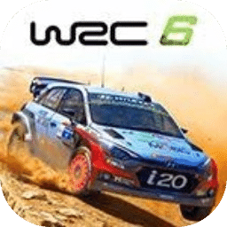 世界汽车拉力锦标赛6