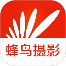 蜂鸟摄影