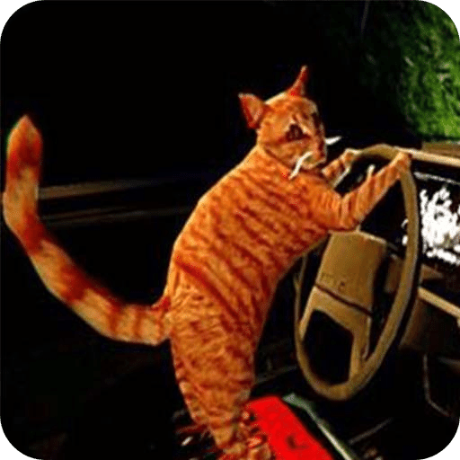 猫司机驾驶冒险