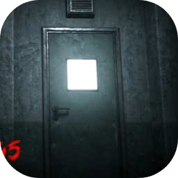 Asylum 45