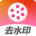 去水印视频解析