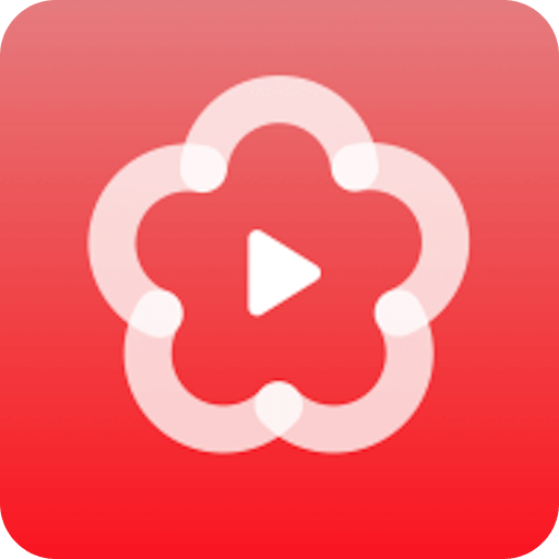 梅花视频播放器