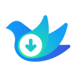 视频下载鸟