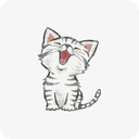 猫咪社区
