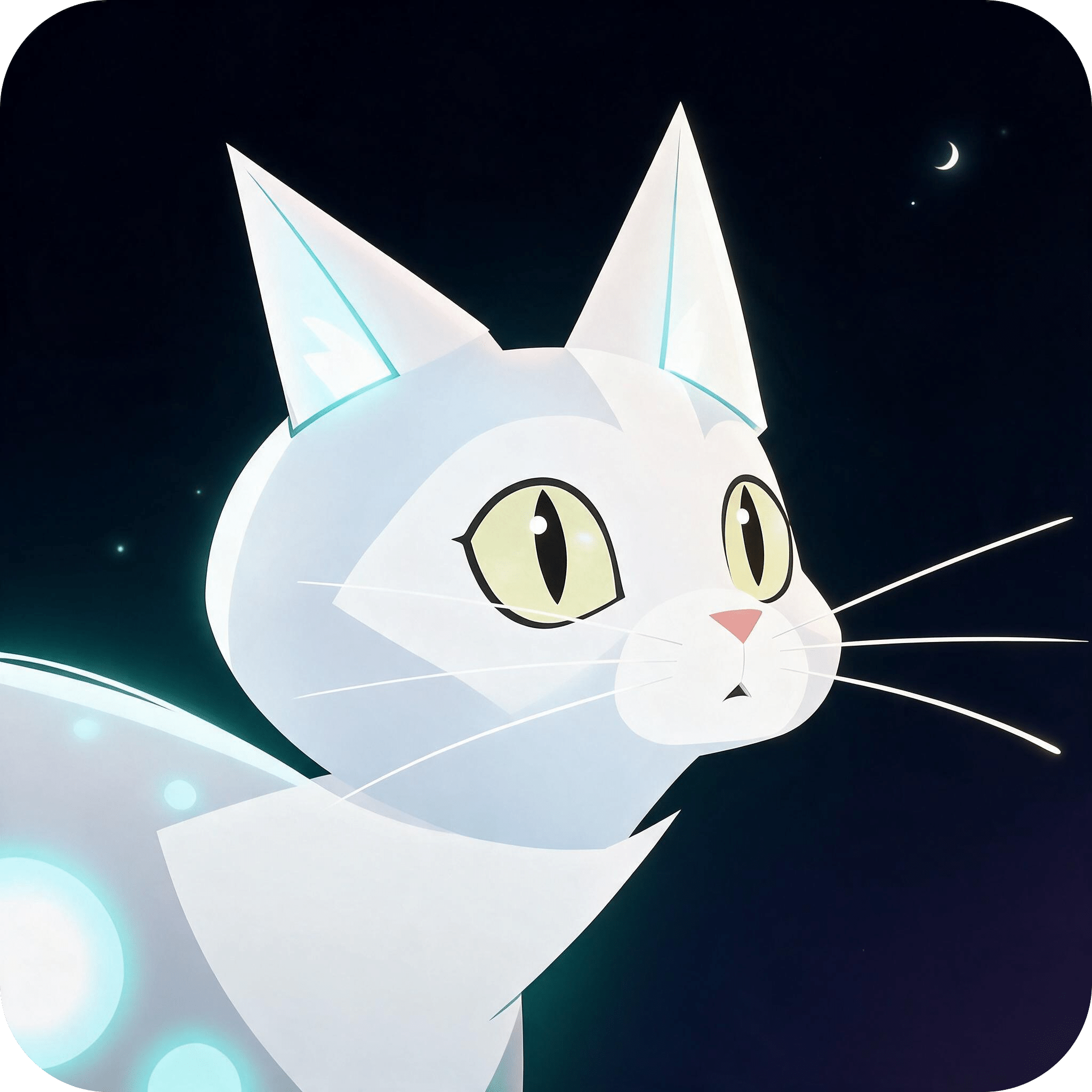 猫与少年