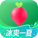 叮咚买菜