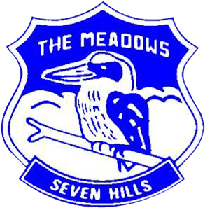 The Meadows Public School