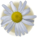 Allergy Diary
