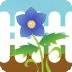 鲜花找同伴