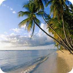 Beach HD