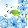 蓝芙蓉动态壁纸