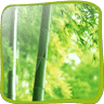 3D Bamboo